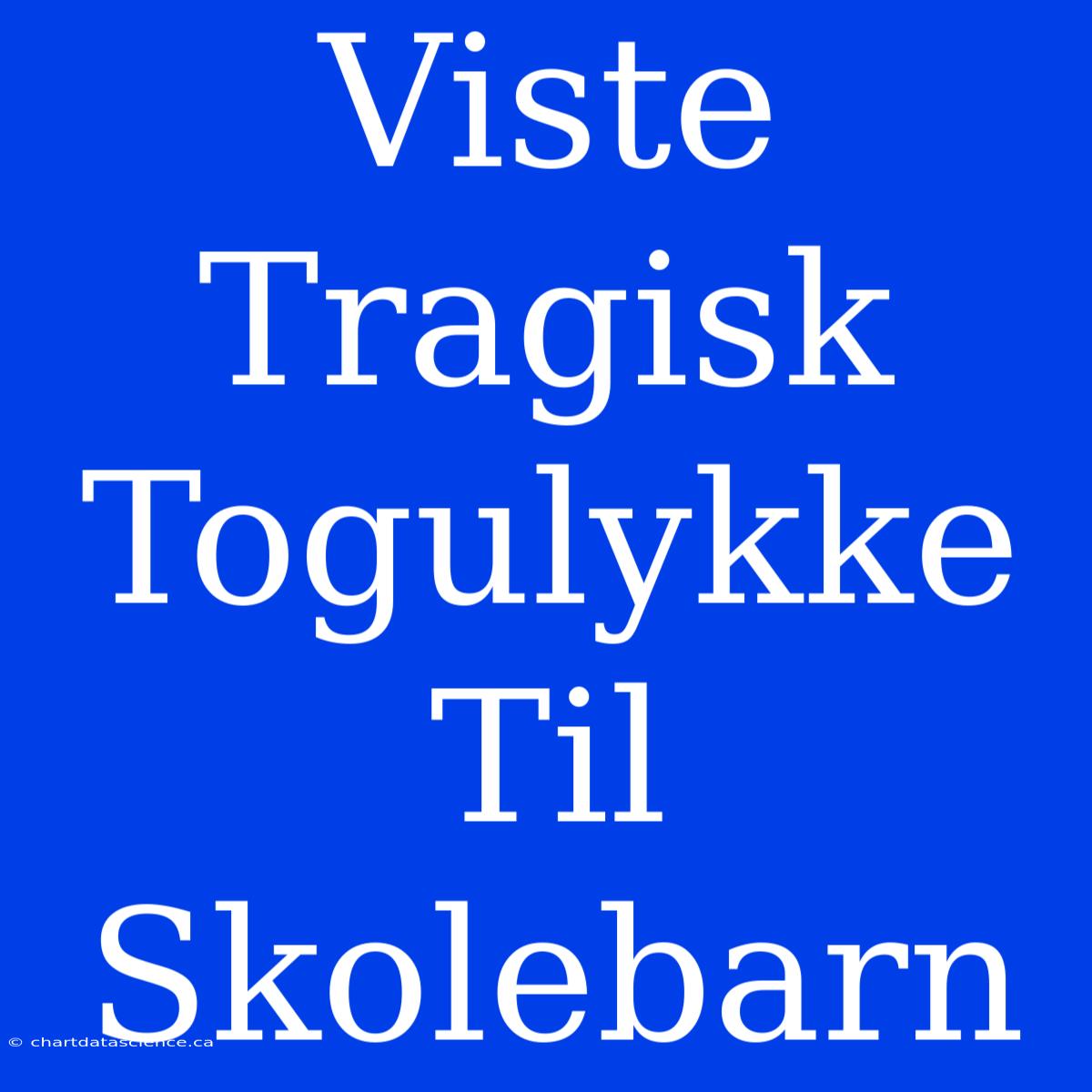 Viste Tragisk Togulykke Til Skolebarn