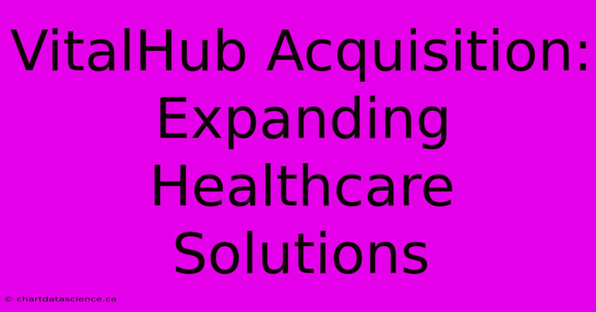 VitalHub Acquisition: Expanding Healthcare Solutions 