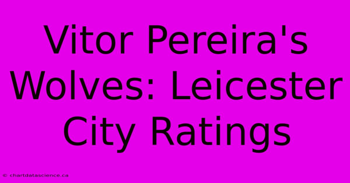 Vitor Pereira's Wolves: Leicester City Ratings