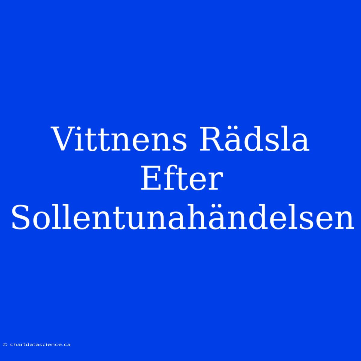 Vittnens Rädsla Efter Sollentunahändelsen