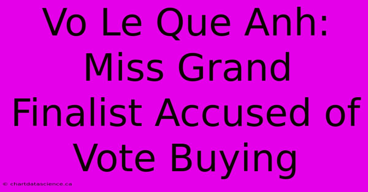 Vo Le Que Anh: Miss Grand Finalist Accused Of Vote Buying