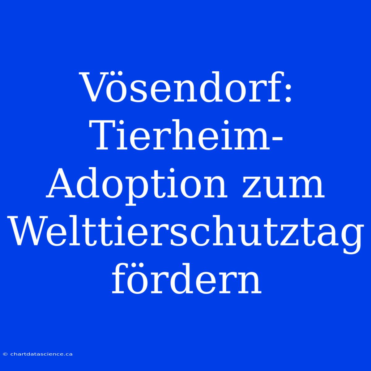 Vösendorf: Tierheim-Adoption Zum Welttierschutztag Fördern