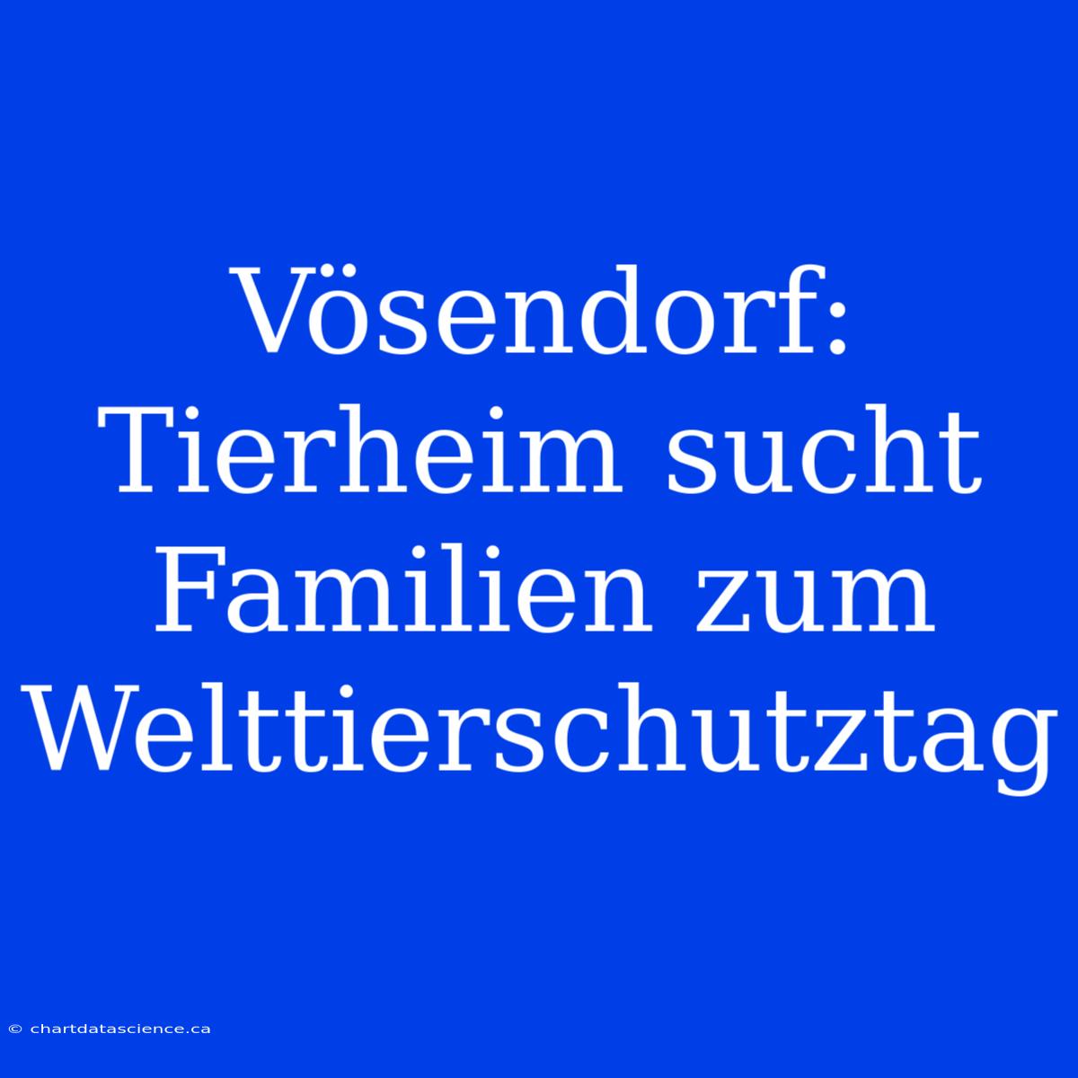 Vösendorf: Tierheim Sucht Familien Zum Welttierschutztag