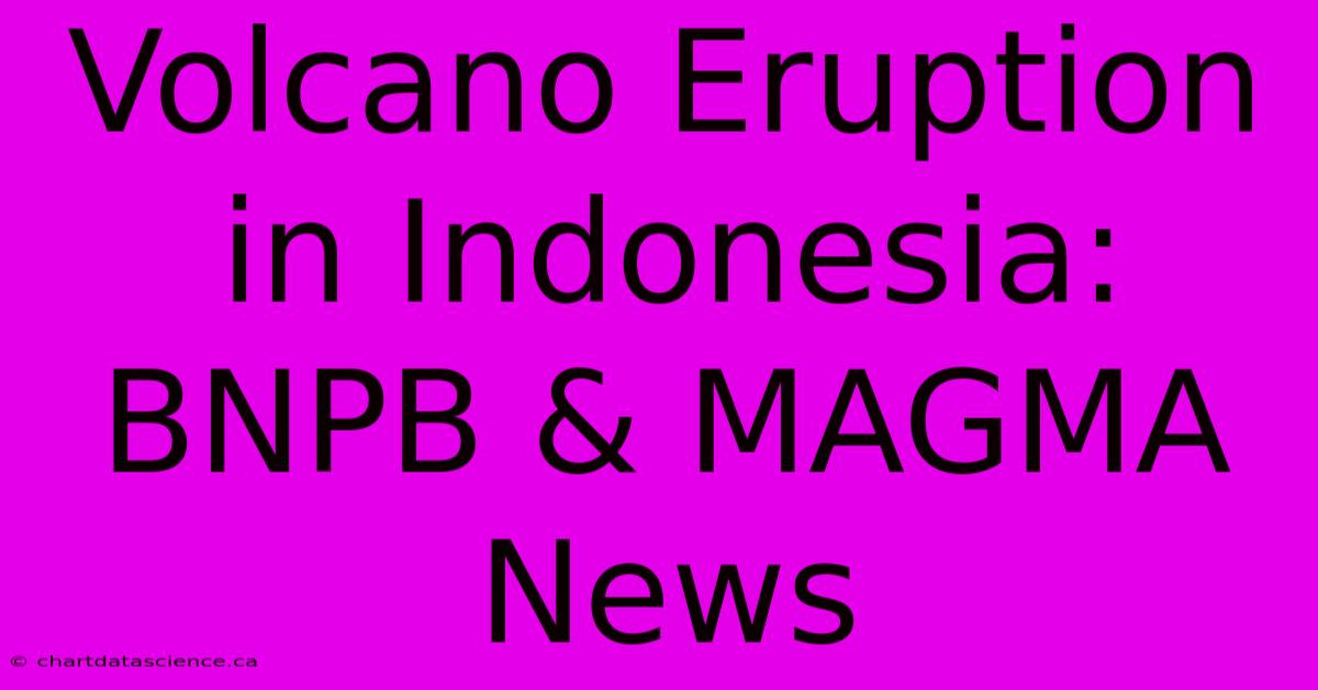 Volcano Eruption In Indonesia: BNPB & MAGMA News