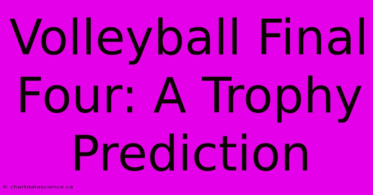 Volleyball Final Four: A Trophy Prediction