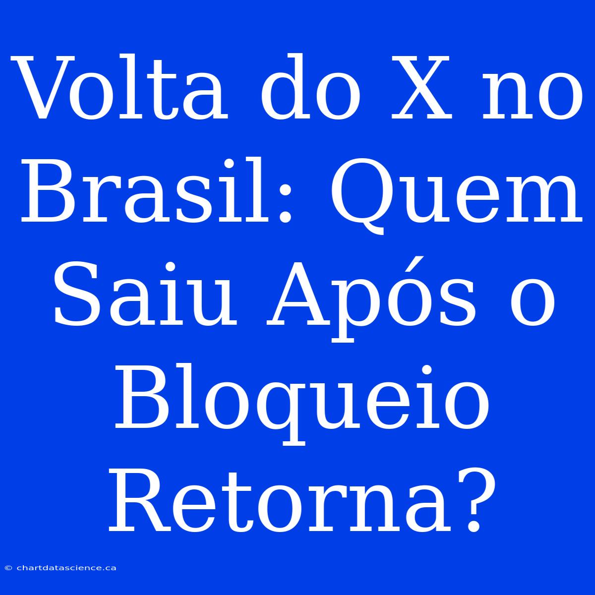 Volta Do X No Brasil: Quem Saiu Após O Bloqueio Retorna?