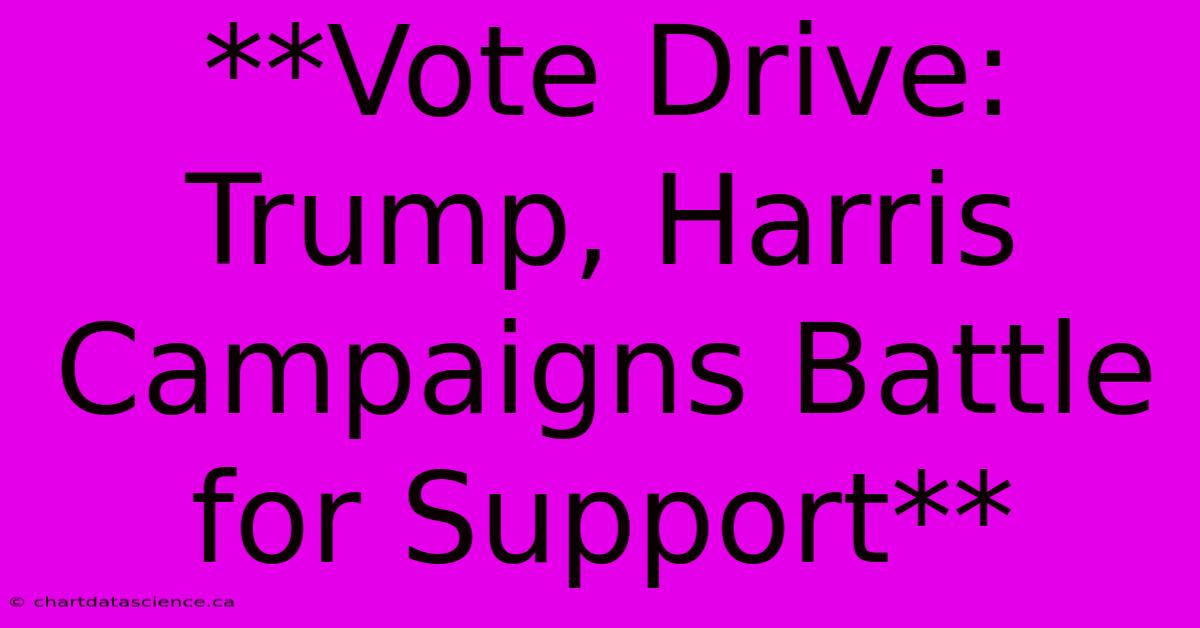 **Vote Drive: Trump, Harris Campaigns Battle For Support**