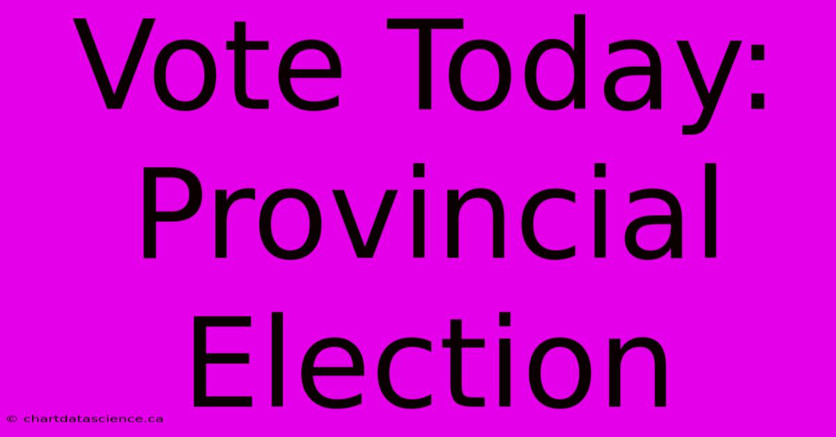 Vote Today: Provincial Election