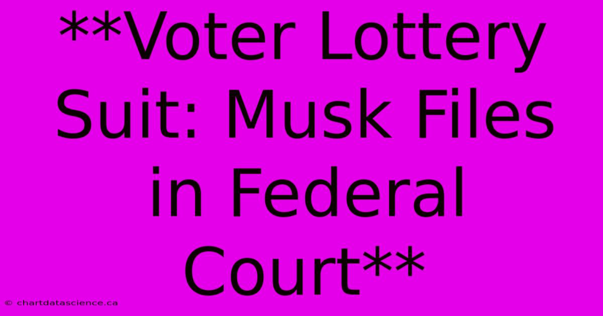 **Voter Lottery Suit: Musk Files In Federal Court** 