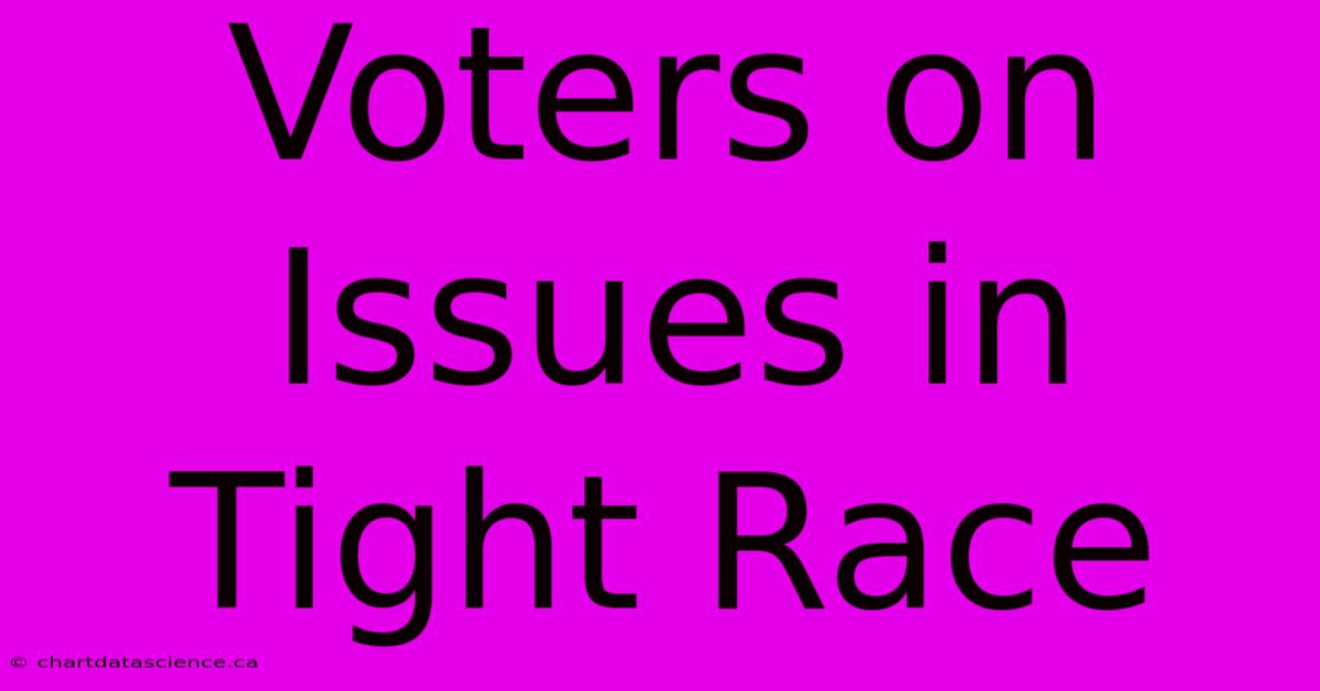 Voters On Issues In Tight Race