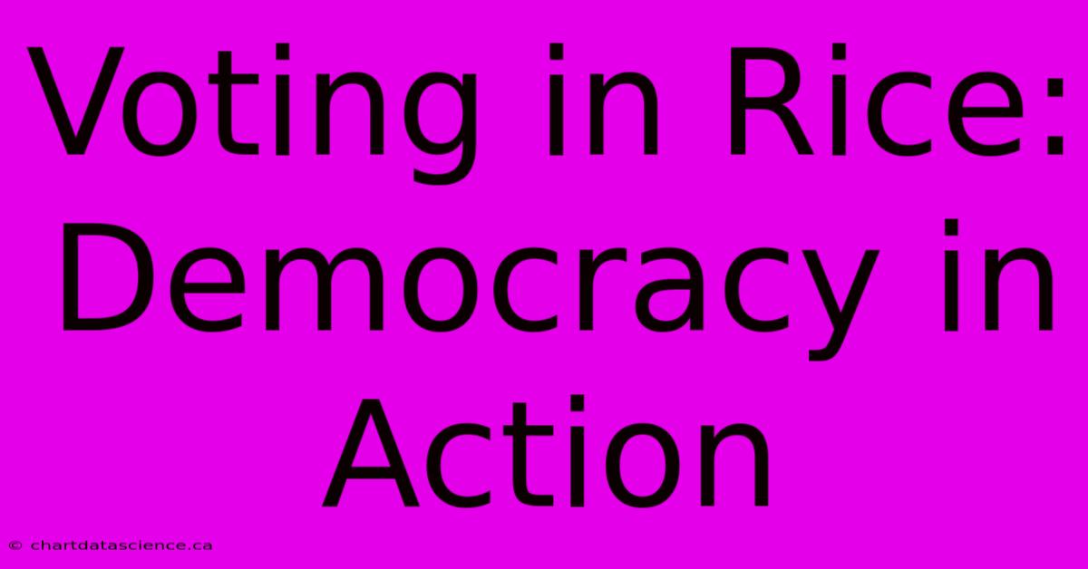 Voting In Rice: Democracy In Action