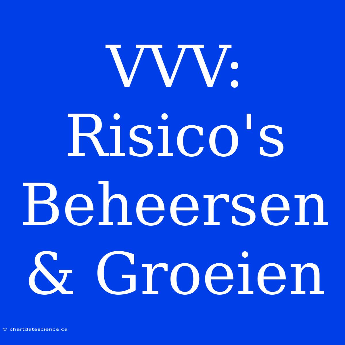 VVV: Risico's Beheersen & Groeien