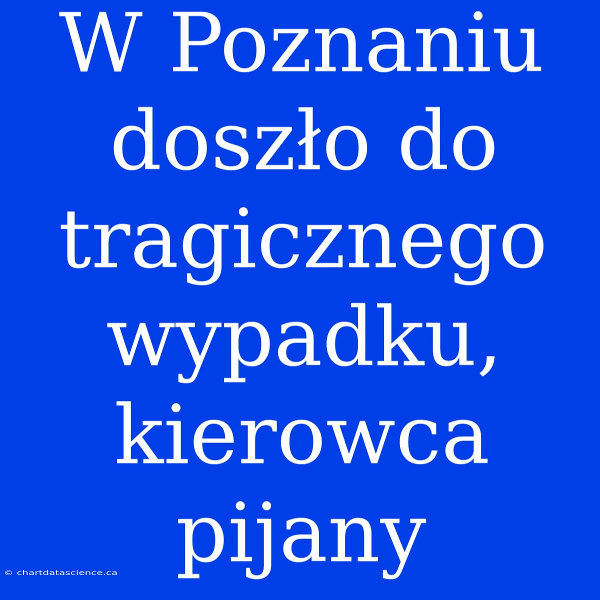 W Poznaniu Doszło Do Tragicznego Wypadku, Kierowca Pijany