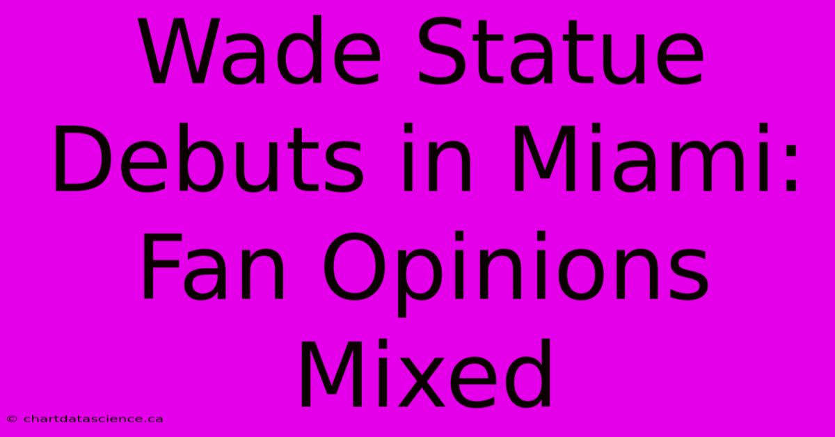 Wade Statue Debuts In Miami: Fan Opinions Mixed