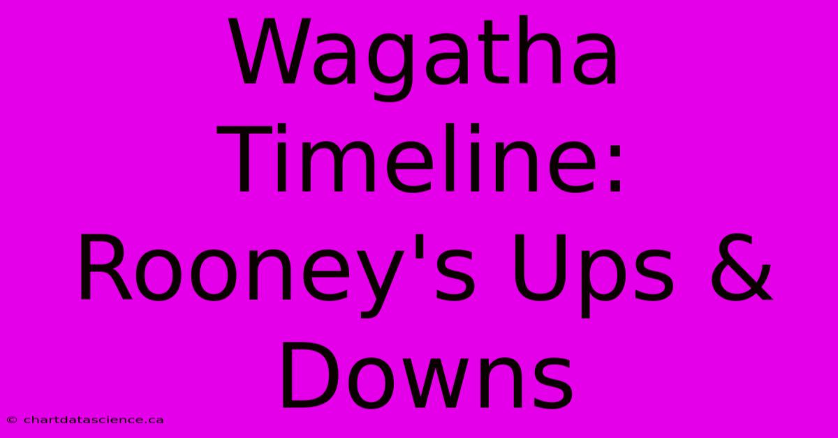 Wagatha Timeline: Rooney's Ups & Downs