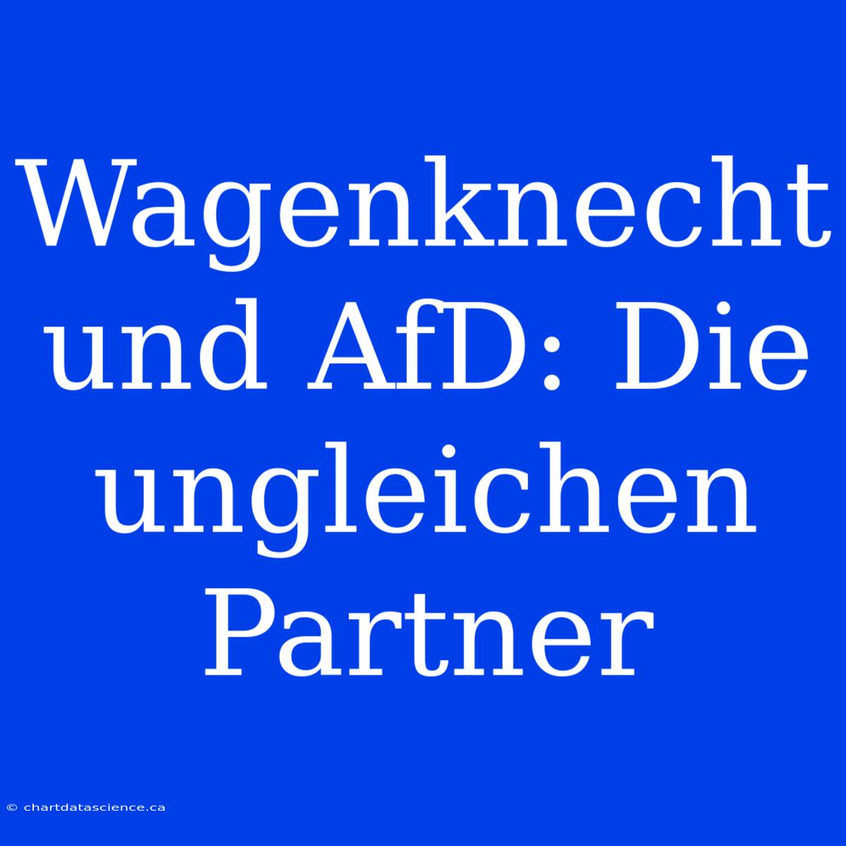 Wagenknecht Und AfD: Die Ungleichen Partner