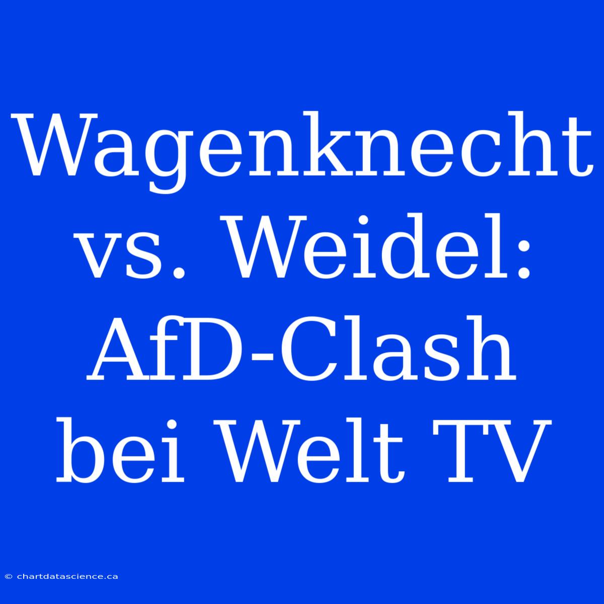 Wagenknecht Vs. Weidel: AfD-Clash Bei Welt TV