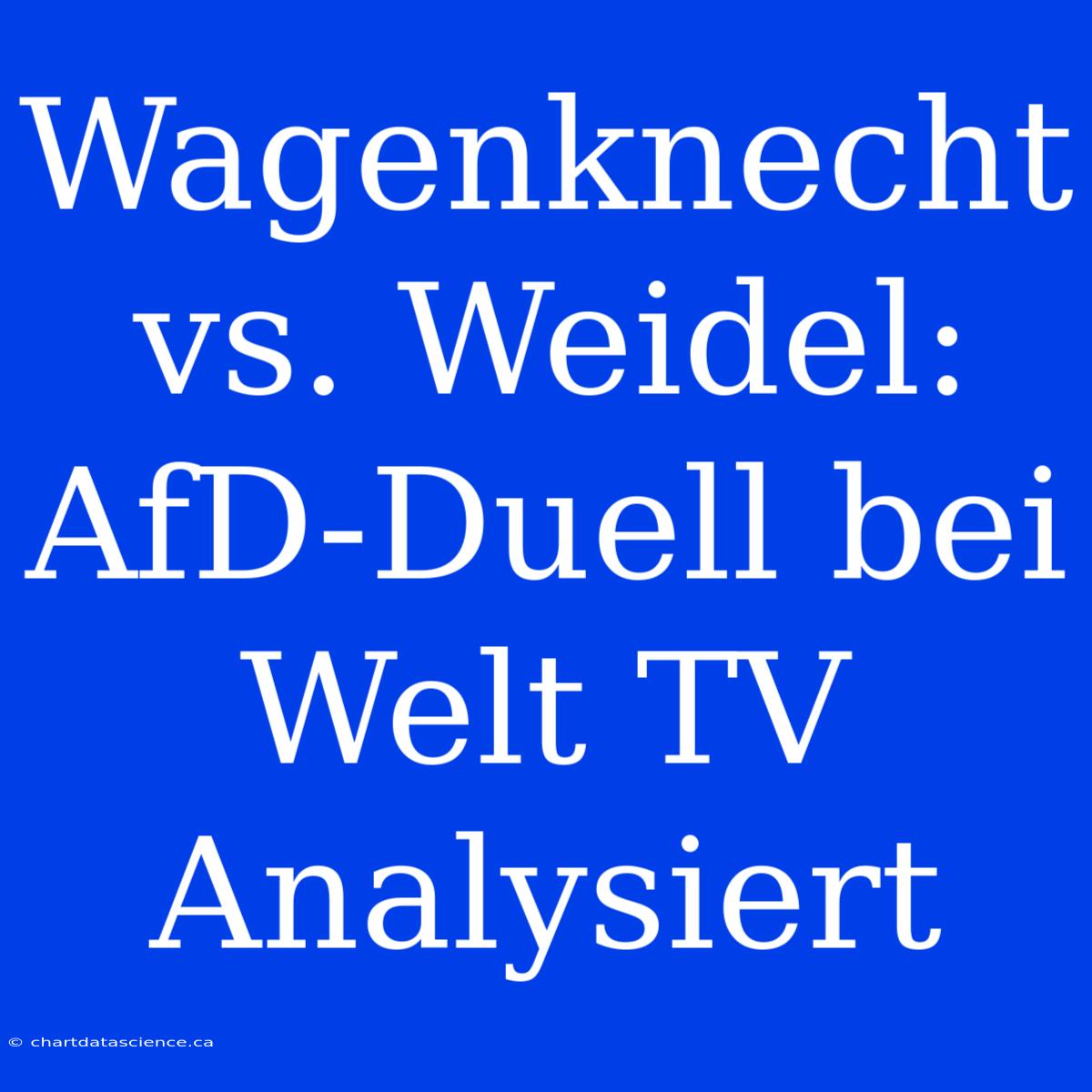 Wagenknecht Vs. Weidel: AfD-Duell Bei Welt TV Analysiert