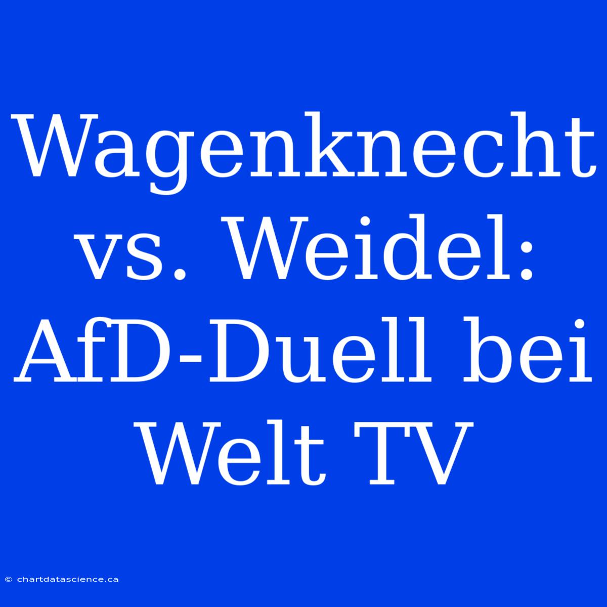 Wagenknecht Vs. Weidel: AfD-Duell Bei Welt TV