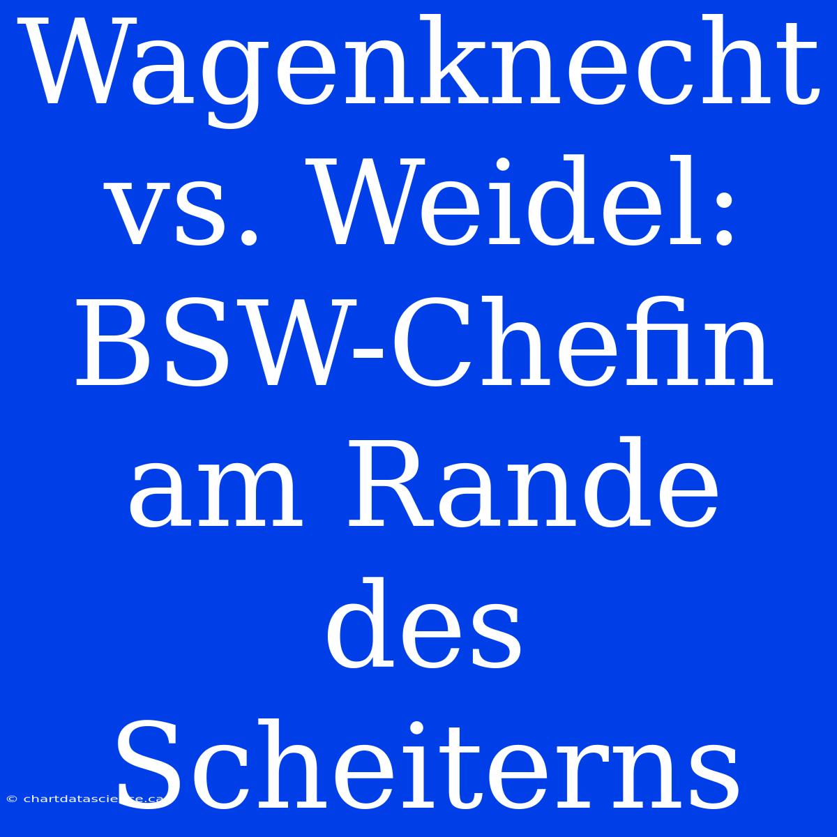 Wagenknecht Vs. Weidel: BSW-Chefin Am Rande Des Scheiterns