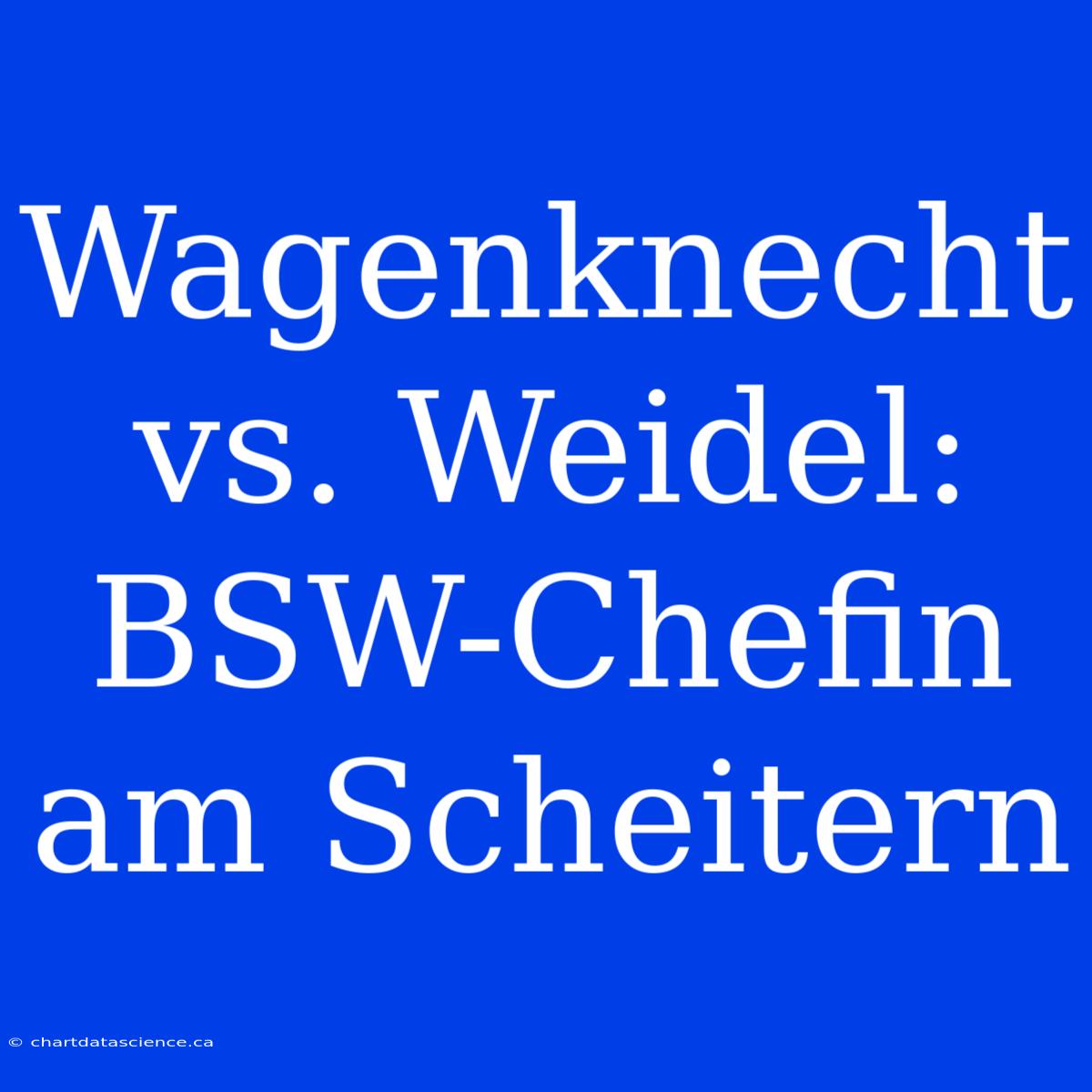 Wagenknecht Vs. Weidel: BSW-Chefin Am Scheitern