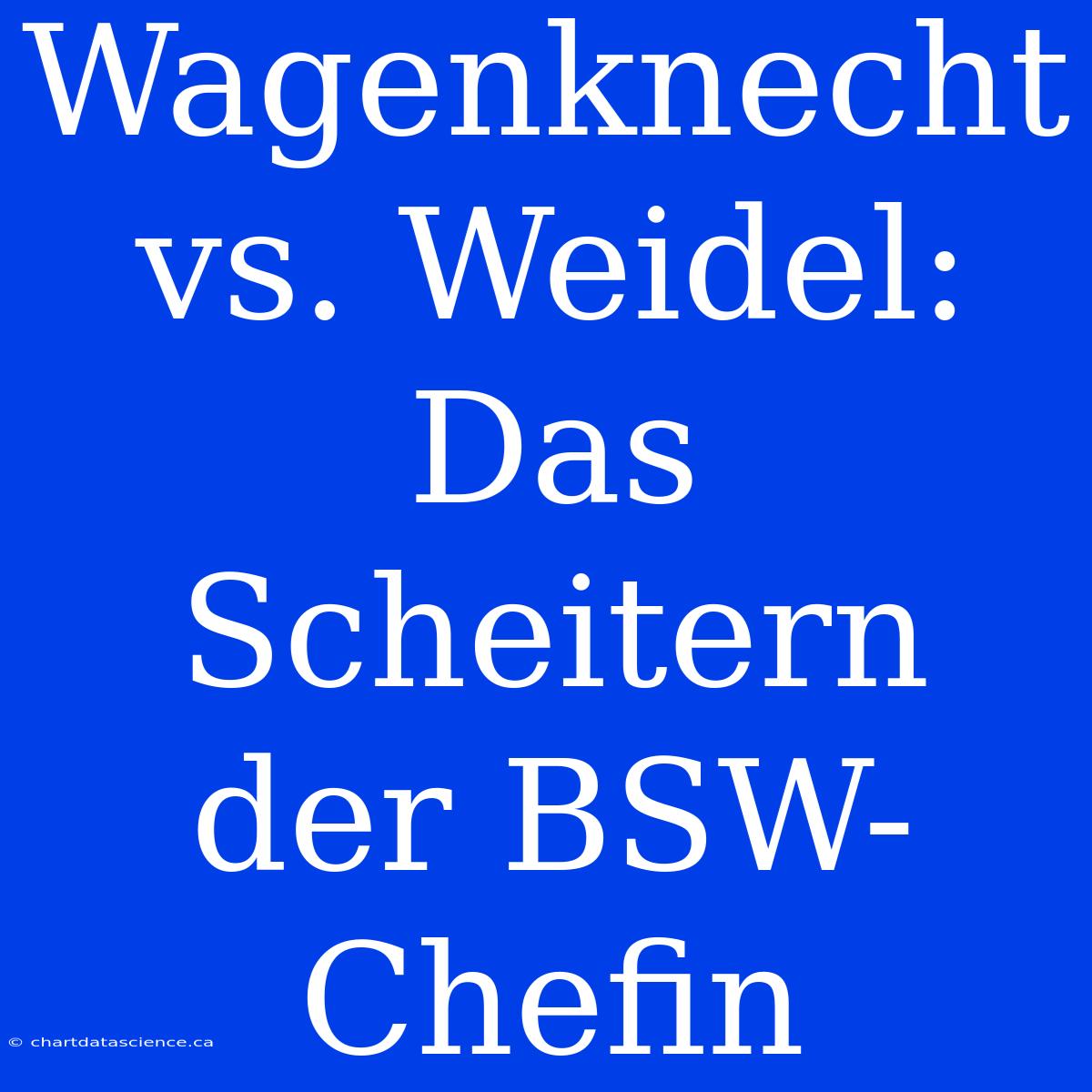 Wagenknecht Vs. Weidel: Das Scheitern Der BSW-Chefin