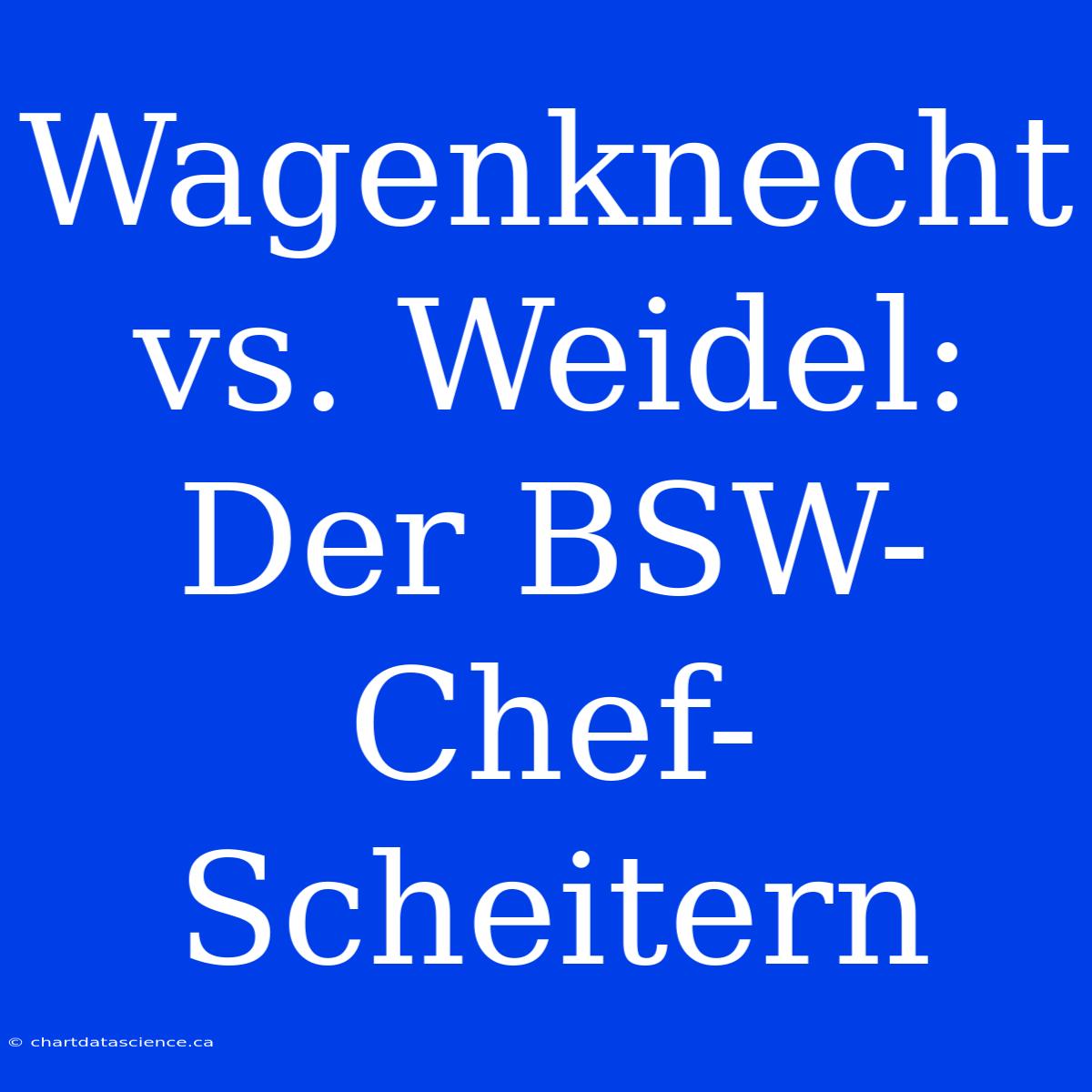 Wagenknecht Vs. Weidel: Der BSW-Chef-Scheitern