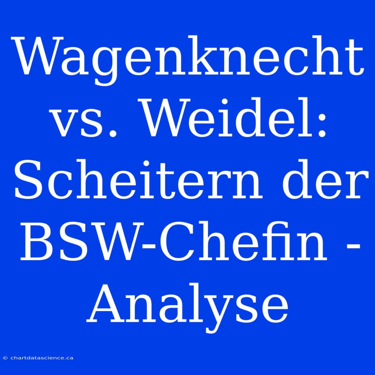 Wagenknecht Vs. Weidel: Scheitern Der BSW-Chefin - Analyse