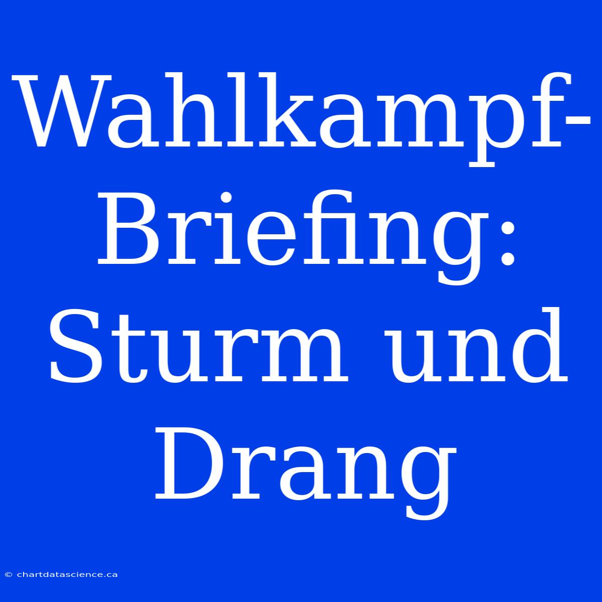 Wahlkampf-Briefing: Sturm Und Drang