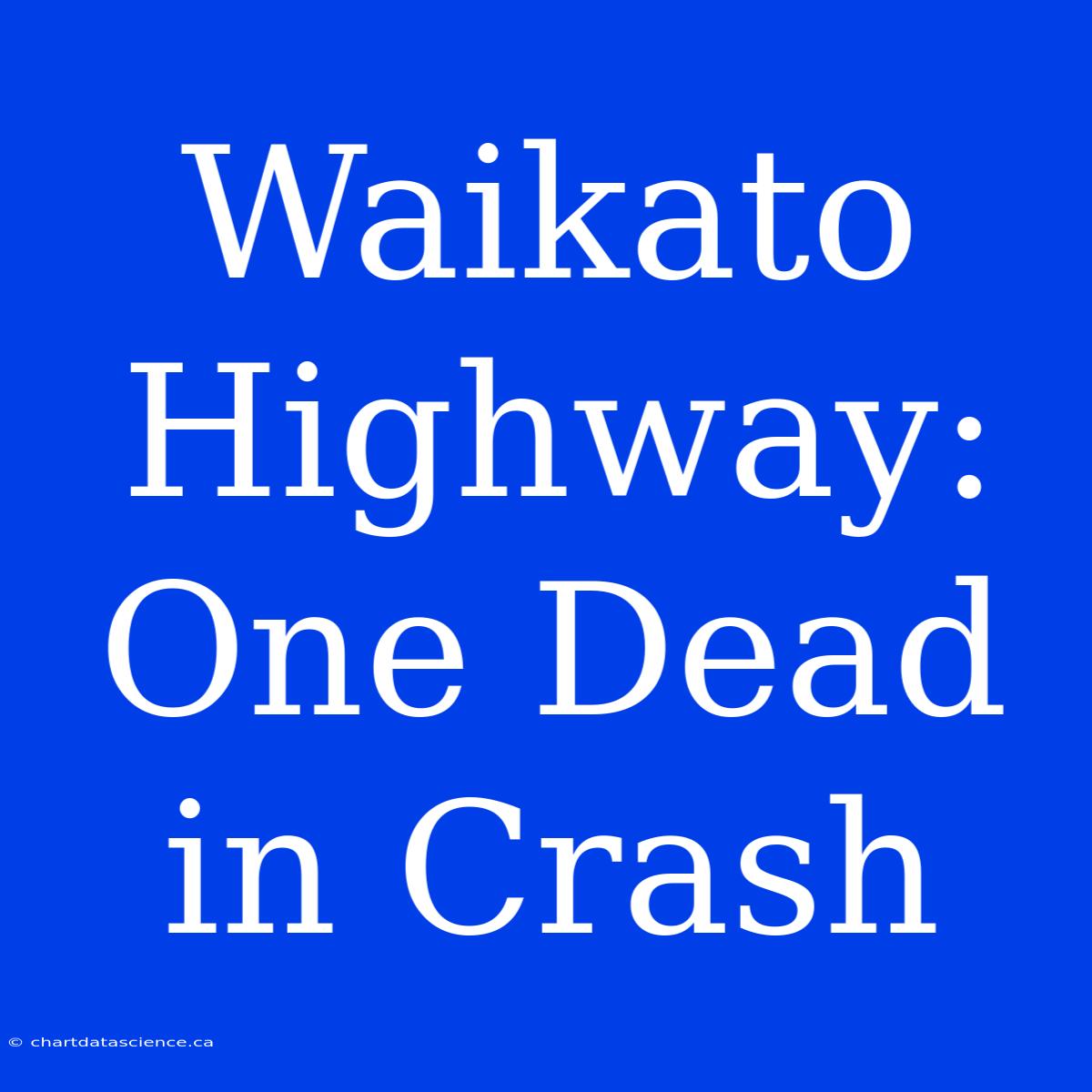 Waikato Highway: One Dead In Crash