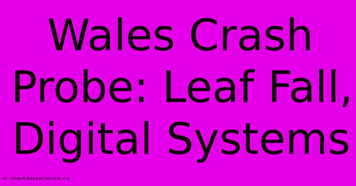 Wales Crash Probe: Leaf Fall, Digital Systems