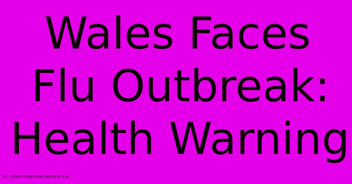 Wales Faces Flu Outbreak: Health Warning