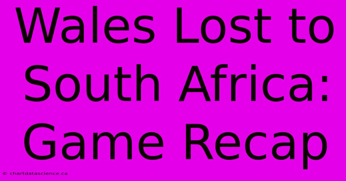 Wales Lost To South Africa: Game Recap