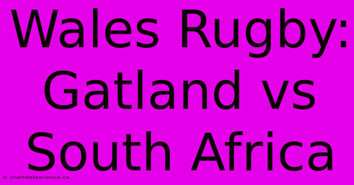 Wales Rugby: Gatland Vs South Africa