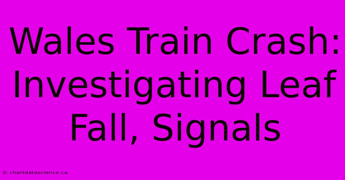 Wales Train Crash: Investigating Leaf Fall, Signals 