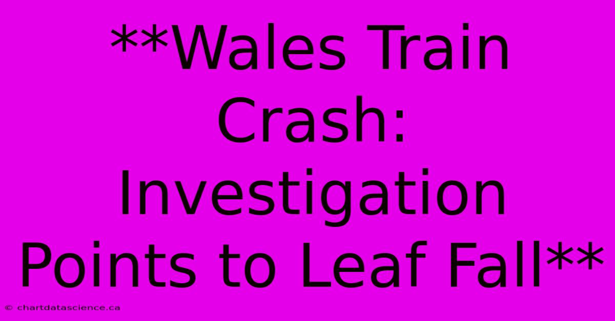 **Wales Train Crash: Investigation Points To Leaf Fall**