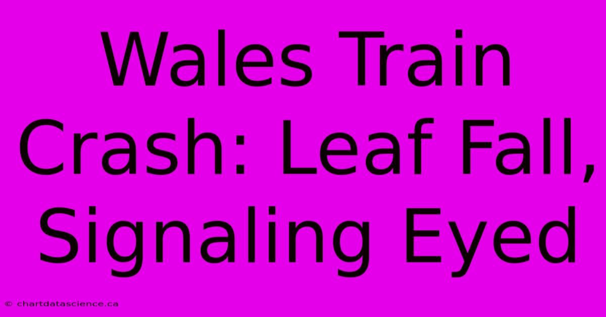 Wales Train Crash: Leaf Fall, Signaling Eyed