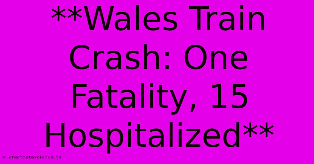 **Wales Train Crash: One Fatality, 15 Hospitalized** 