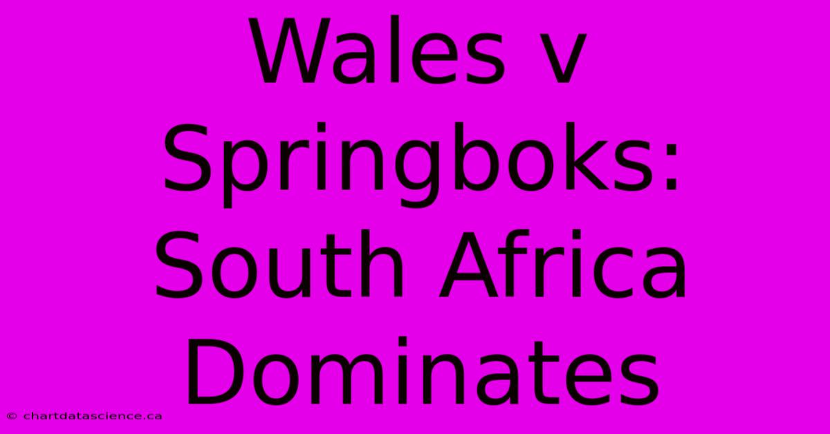 Wales V Springboks: South Africa Dominates