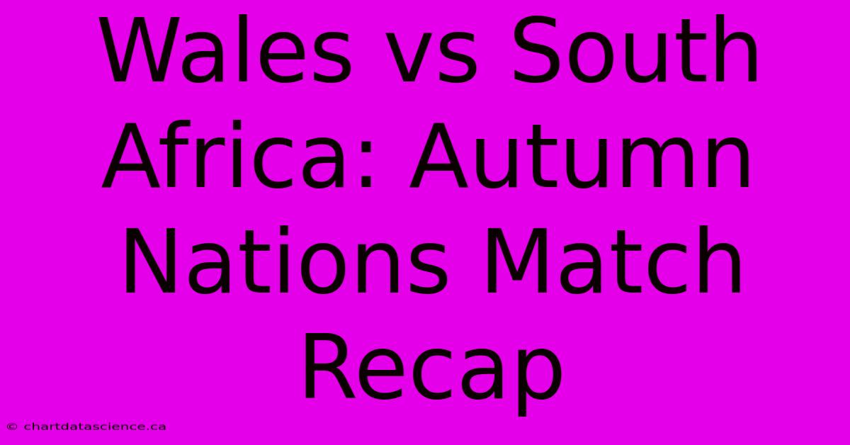 Wales Vs South Africa: Autumn Nations Match Recap