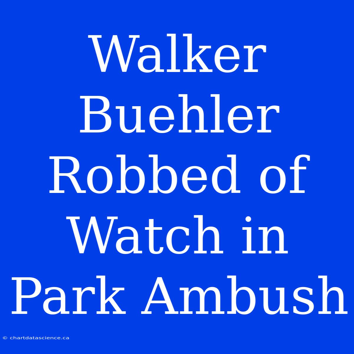 Walker Buehler Robbed Of Watch In Park Ambush