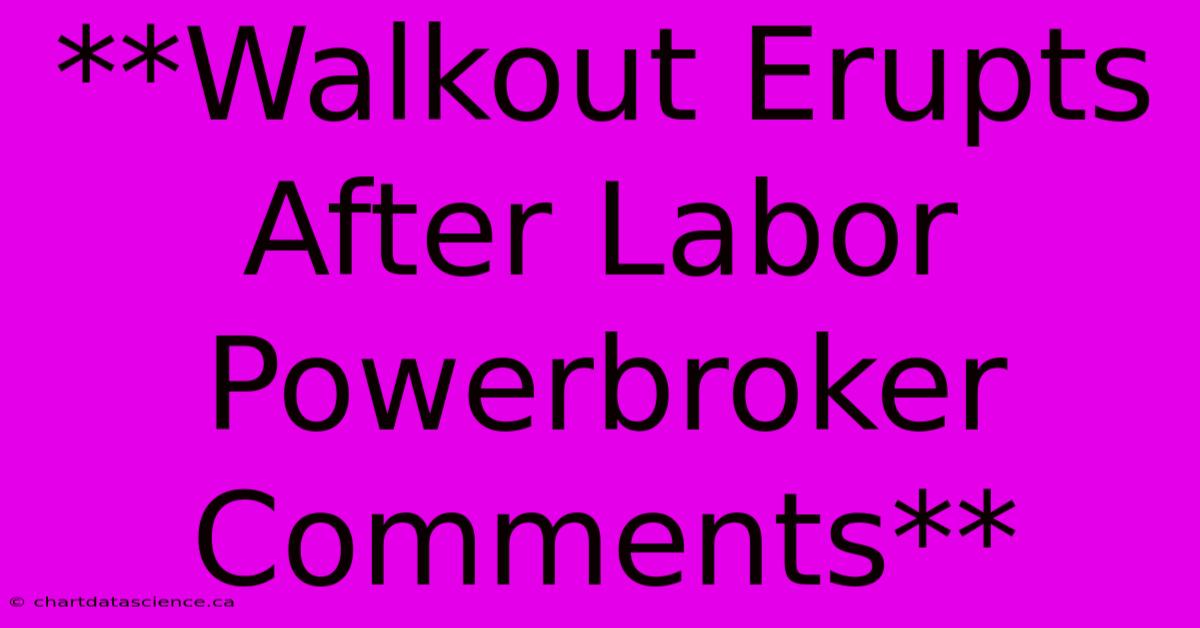 **Walkout Erupts After Labor Powerbroker Comments**