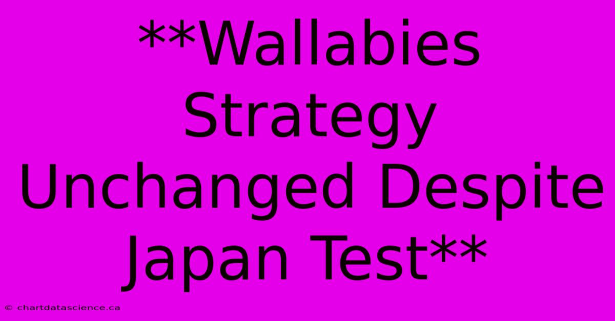 **Wallabies Strategy Unchanged Despite Japan Test** 