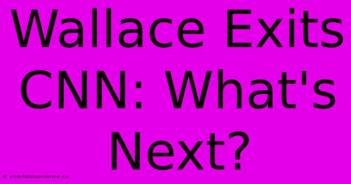 Wallace Exits CNN: What's Next? 