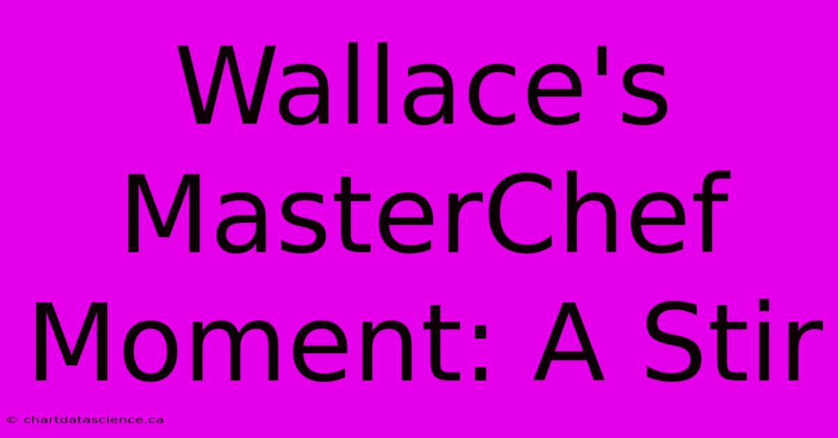 Wallace's MasterChef Moment: A Stir