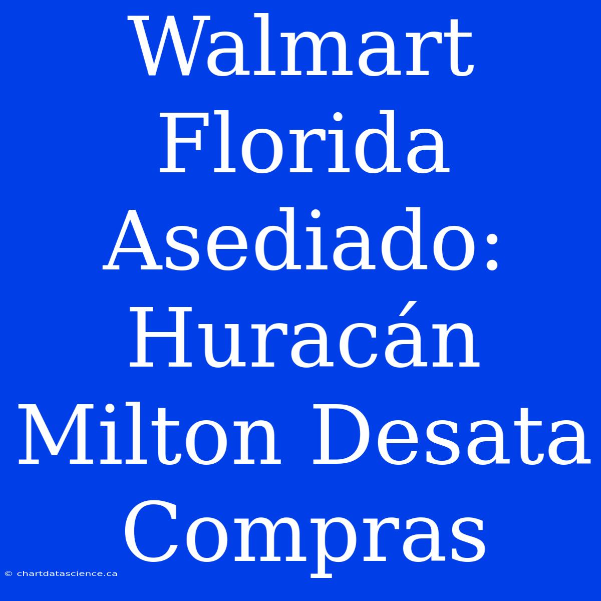 Walmart Florida Asediado: Huracán Milton Desata Compras