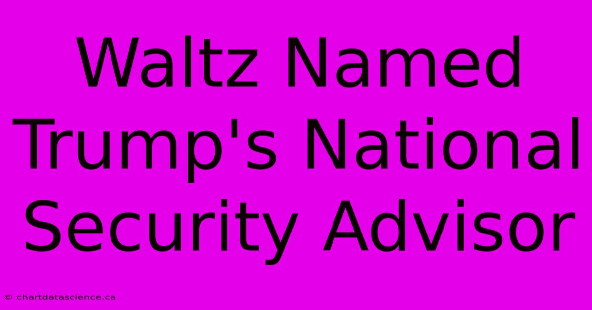 Waltz Named Trump's National Security Advisor