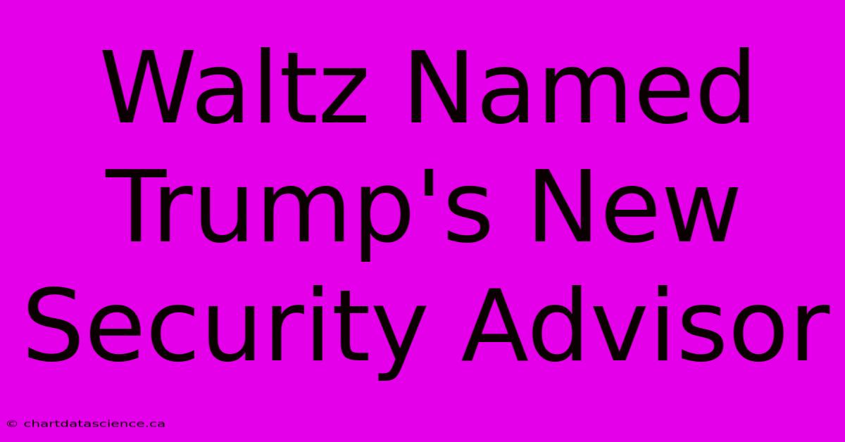 Waltz Named Trump's New Security Advisor 