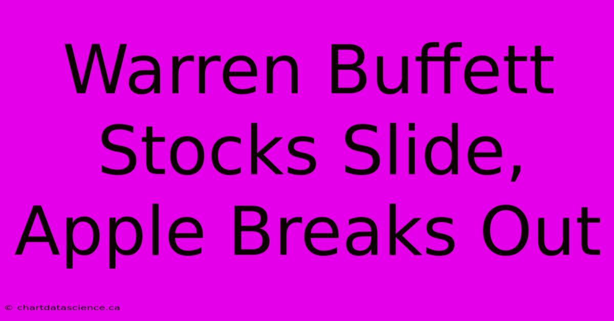 Warren Buffett Stocks Slide, Apple Breaks Out