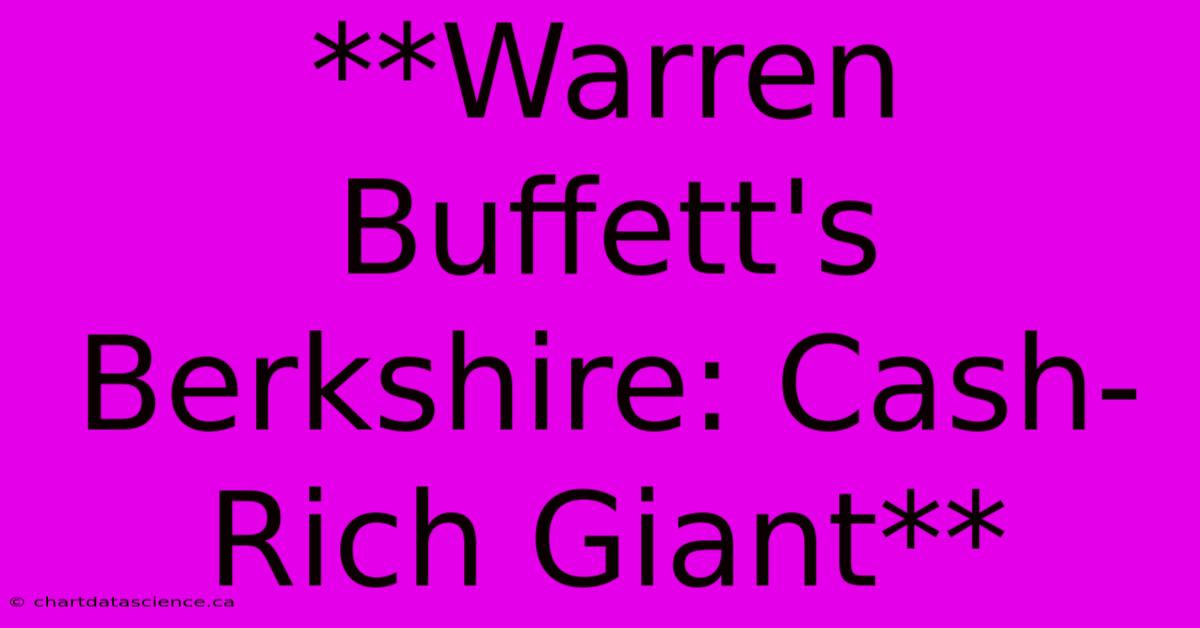 **Warren Buffett's Berkshire: Cash-Rich Giant** 